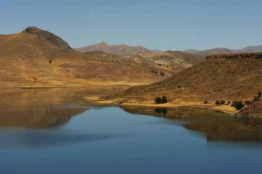Umayo See Wall Decal