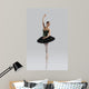 Beautiful Ballet