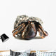 Hermit Crab Wall Decal