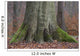 Book Root