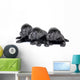 Three Black Lab Puppies Two Months Old Wall Decal