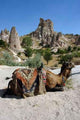 Cappadocia Wall Decal