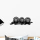 Three Black Lab Puppies Two Months Old Wall Decal