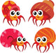 Four Orange Hermit Crabs Wall Decal Sticker Set