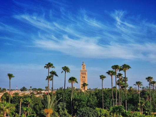 Vue Du Minaret La Wall Decal