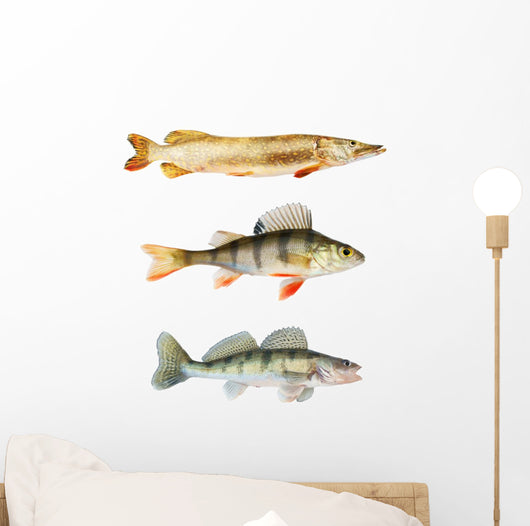 Predators Collection White Wall Decal