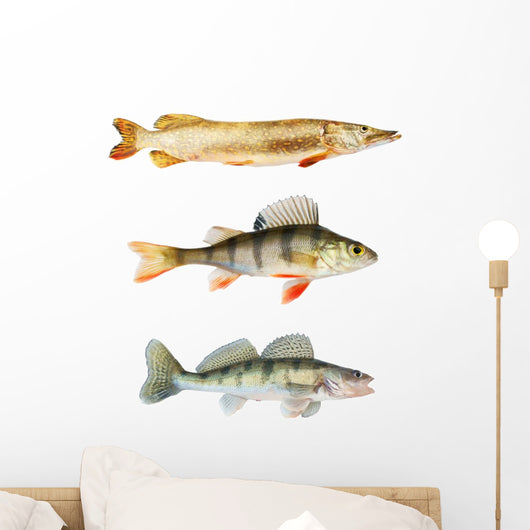 Predators Collection White Wall Decal