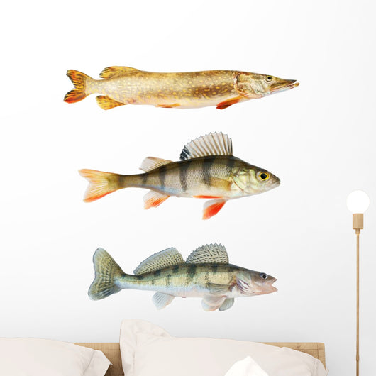 Predators Collection White Wall Decal