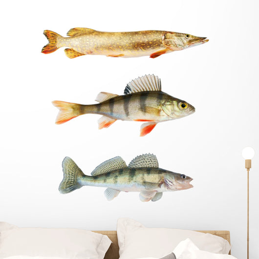Predators Collection White Wall Decal