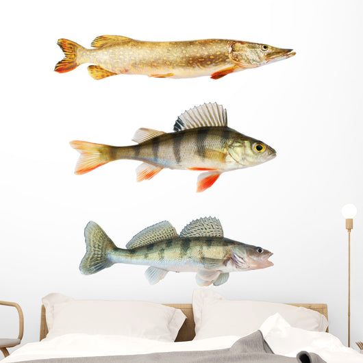 Predators Collection White Wall Decal