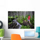 Woman Jogging Through A Birch Forest Alongside A Small Stream, Alaska Wall Mural