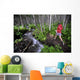 Woman Jogging Through A Birch Forest Alongside A Small Stream, Alaska Wall Mural