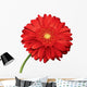 Flower Wall Decal