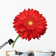 Flower Wall Decal