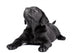 Black Lab Puppy Look