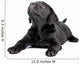 Black Lab Puppy Look