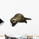 Ferret 3