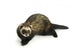 Ferret 3