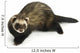 Ferret 3