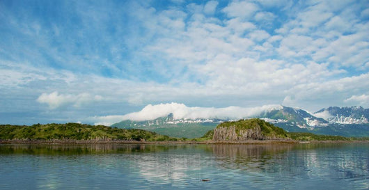 Scenic View Of Geographic Harbor Wall Mural