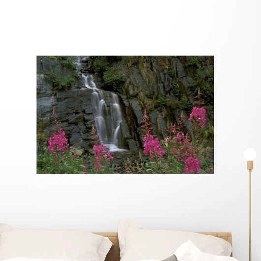 Fireweed In Bloom Near Waterfall Turnagain Pass Ak Kp Summer Wall Mural