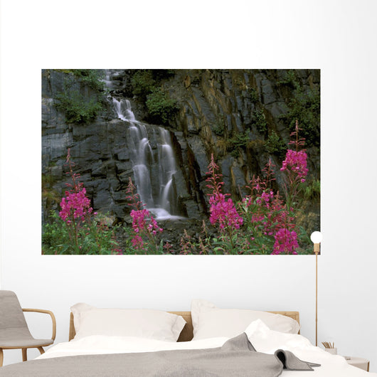 Fireweed In Bloom Near Waterfall Turnagain Pass Ak Kp Summer Wall Mural
