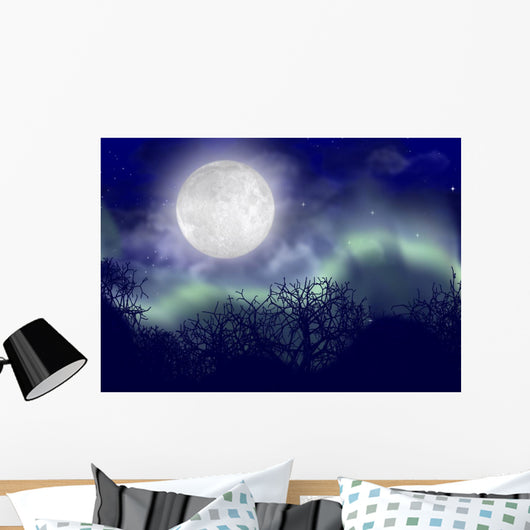 Polar Lights