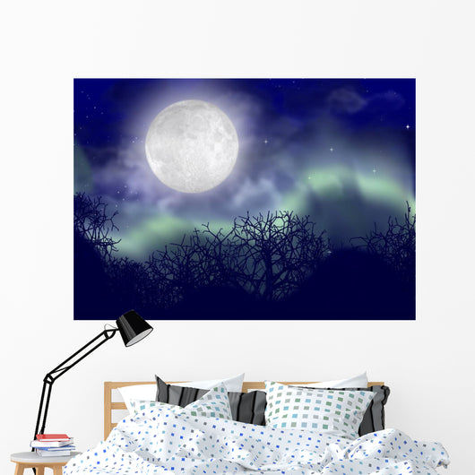 Polar Lights