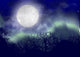 Polar Lights