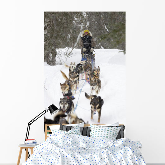 Bill Pinkham On The Trail Wall Mural