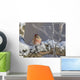 Close Up View Of A Male Redpoll In Spring Breeding Colors Wall Mural