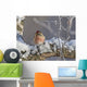 Close Up View Of A Male Redpoll In Spring Breeding Colors Wall Mural