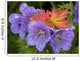 Wild Geranium Blooms With Premature Fall Leaf Coloring In Glen Alps Wall Mural