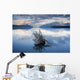 Driftwood Stump Wall Mural