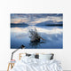 Driftwood Stump Wall Mural