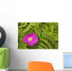 Prickly Rose Bloom Wall Mural