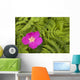 Prickly Rose Bloom Wall Mural