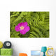 Prickly Rose Bloom Wall Mural
