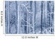 Frost Coated Birch Forest Wall Mural