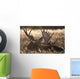Sleeping Adult Bull Moose Wall Mural