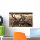 Sleeping Adult Bull Moose Wall Mural