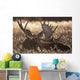 Sleeping Adult Bull Moose Wall Mural