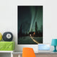 Northern Lights Over Cabin Scotty Lk Petersville Rd Ak Winter Snow Wall Mural