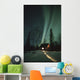 Northern Lights Over Cabin Scotty Lk Petersville Rd Ak Winter Snow Wall Mural