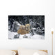 Polar Bear Mother & Cubs Cuddling Together Wall Mural