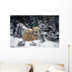 Polar Bear Mother & Cubs Cuddling Together Wall Mural