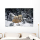 Polar Bear Mother & Cubs Cuddling Together Wall Mural
