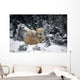 Polar Bear Mother & Cubs Cuddling Together Wall Mural