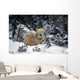 Polar Bear Mother & Cubs Cuddling Together Wall Mural