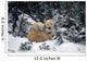 Polar Bear Mother & Cubs Cuddling Together Wall Mural